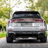 Audi RS Q8 Performance